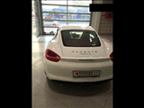 GCC Showroms Cars